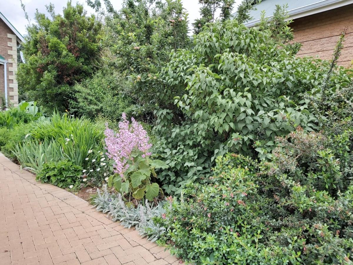 Clarens Mountain Sage Holiday House Екстериор снимка